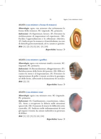 Percorso Completo di Cristalloterapia