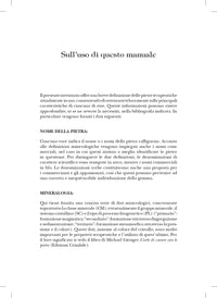 Percorso Completo di Cristalloterapia